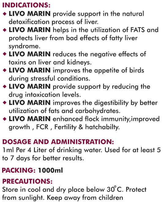 Ekran g&ouml;r&uuml;nt&uuml;s&uuml; 2024-01-30 164631