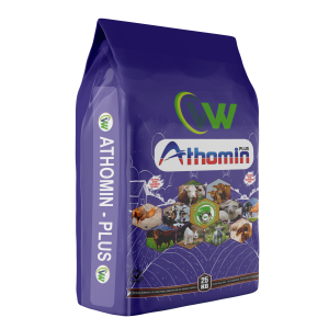 AthominPlus Torba