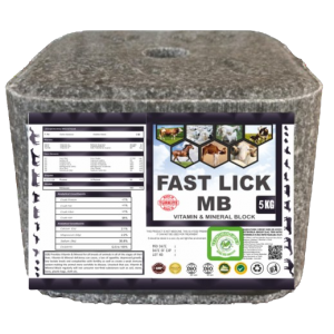 Fast Lick MB