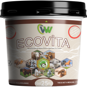 Ecovita