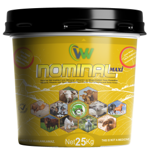Nominal Maxi